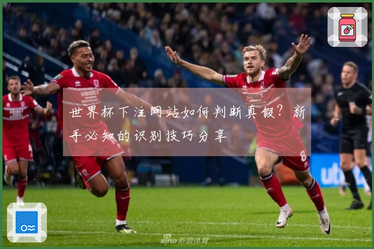 世界杯下注网站如何判断真假？新手必知的识别技巧分享