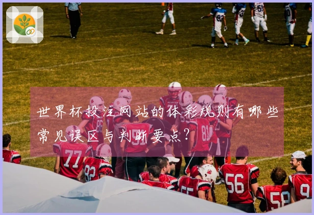 世界杯投注网站的体彩规则有哪些常见误区与判断要点？