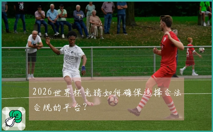 2026世界杯竞猜如何确保选择合法合规的平台？