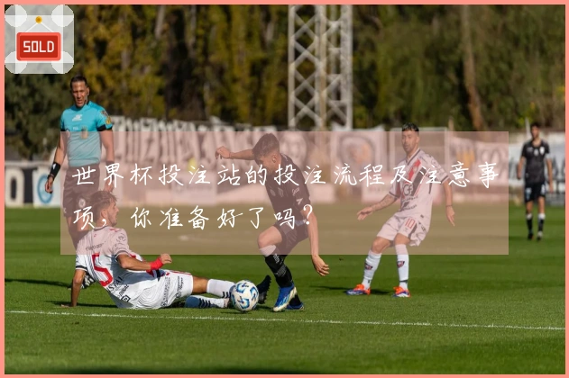 世界杯投注站的投注流程及注意事项,你准备好了吗?