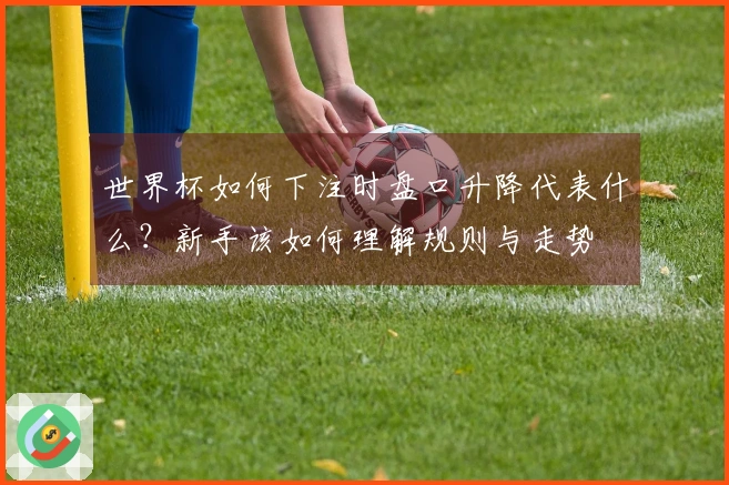 世界杯如何下注时盘口升降代表什么？新手该如何理解规则与走势