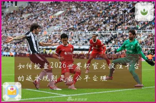 如何检查2026世界杯官方投注平台的返水规则是否公平合理