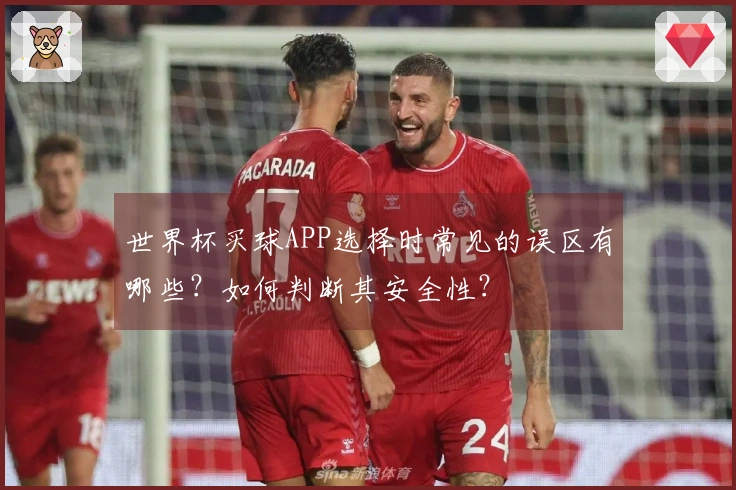 世界杯买球APP选择时常见的误区有哪些？如何判断其安全性？