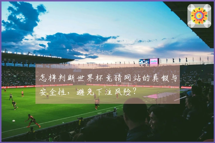 怎样判断世界杯竞猜网站的真假与安全性，避免下注风险？
