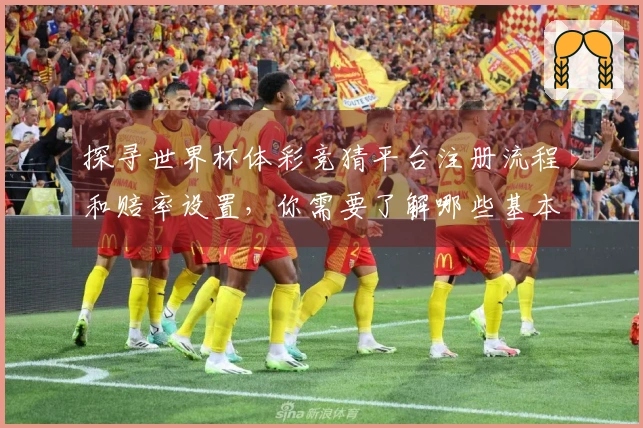 探寻世界杯体彩竞猜平台注册流程和赔率设置，你需要了解哪些基本规则？