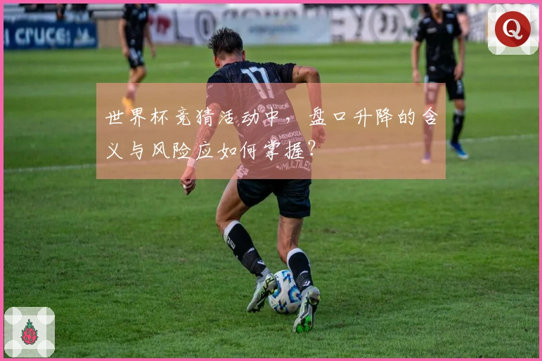 世界杯竞猜活动中，盘口升降的含义与风险应如何掌握？