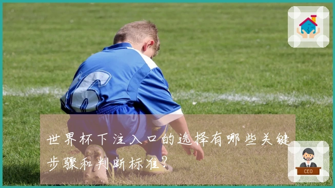 世界杯下注入口的选择有哪些关键步骤和判断标准？
