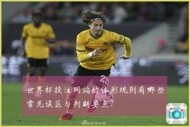 世界杯投注网站的体彩规则有哪些常见误区与判断要点？