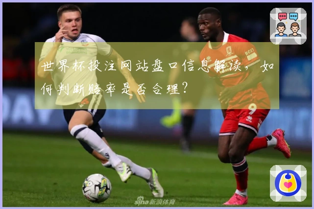 世界杯投注网站盘口信息解读，如何判断赔率是否合理？