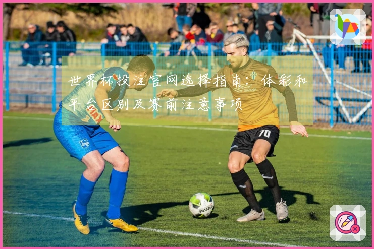 世界杯投注官网选择指南：体彩和平台区别及赛前注意事项