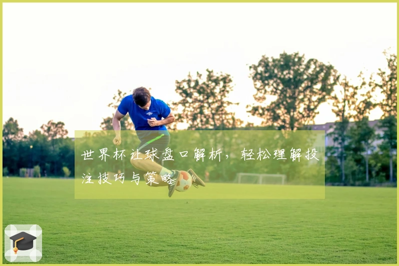 世界杯让球盘口解析，轻松理解投注技巧与策略