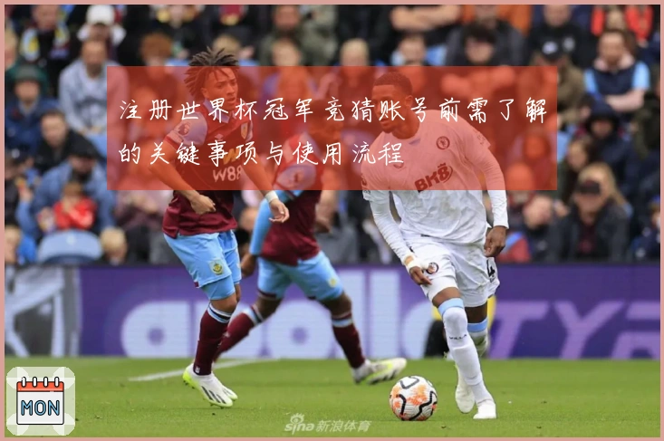 注册世界杯冠军竞猜账号前需了解的关键事项与使用流程