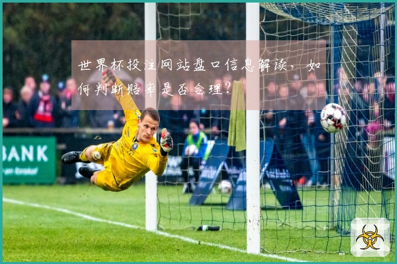 世界杯投注网站盘口信息解读，如何判断赔率是否合理？