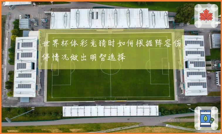 世界杯体彩竞猜时如何根据阵容伤停情况做出明智选择