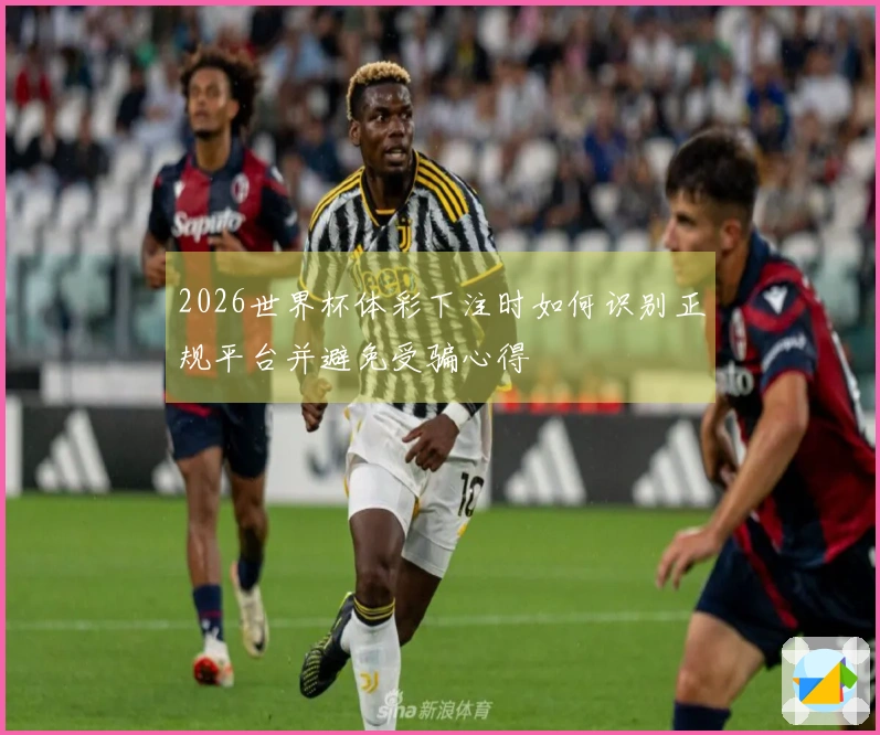 2026世界杯体彩下注时如何识别正规平台并避免受骗心得