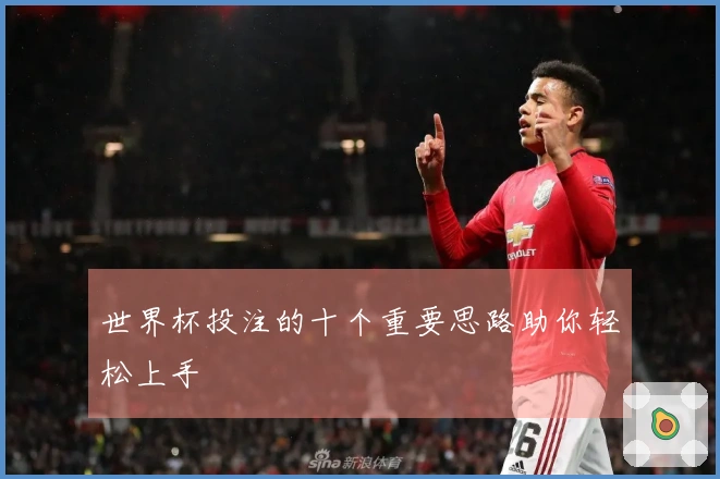 世界杯投注的十个重要思路助你轻松上手