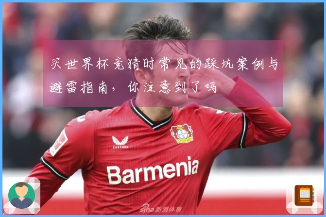 买世界杯竞猜时常见的踩坑案例与避雷指南，你注意到了吗