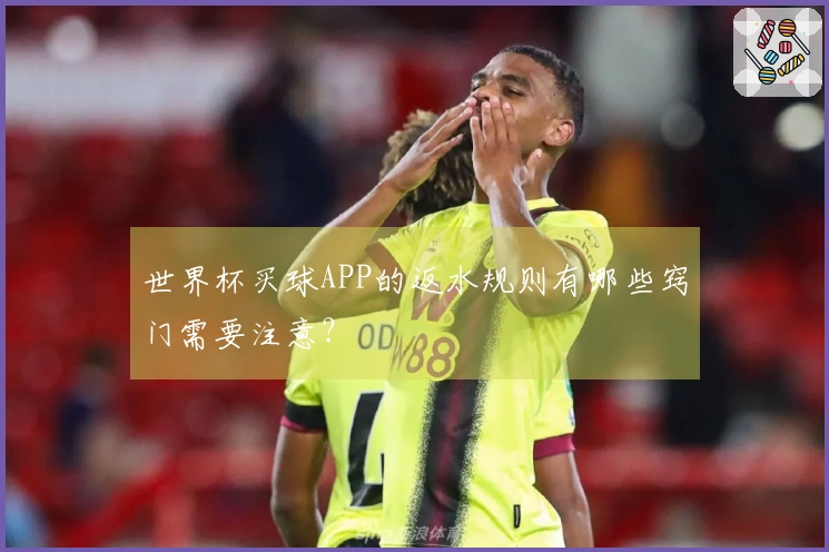 世界杯买球APP的返水规则有哪些窍门需要注意？