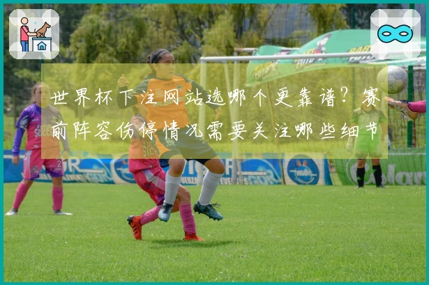世界杯下注网站选哪个更靠谱？赛前阵容伤停情况需要关注哪些细节？