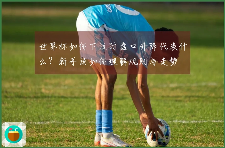 世界杯如何下注时盘口升降代表什么？新手该如何理解规则与走势